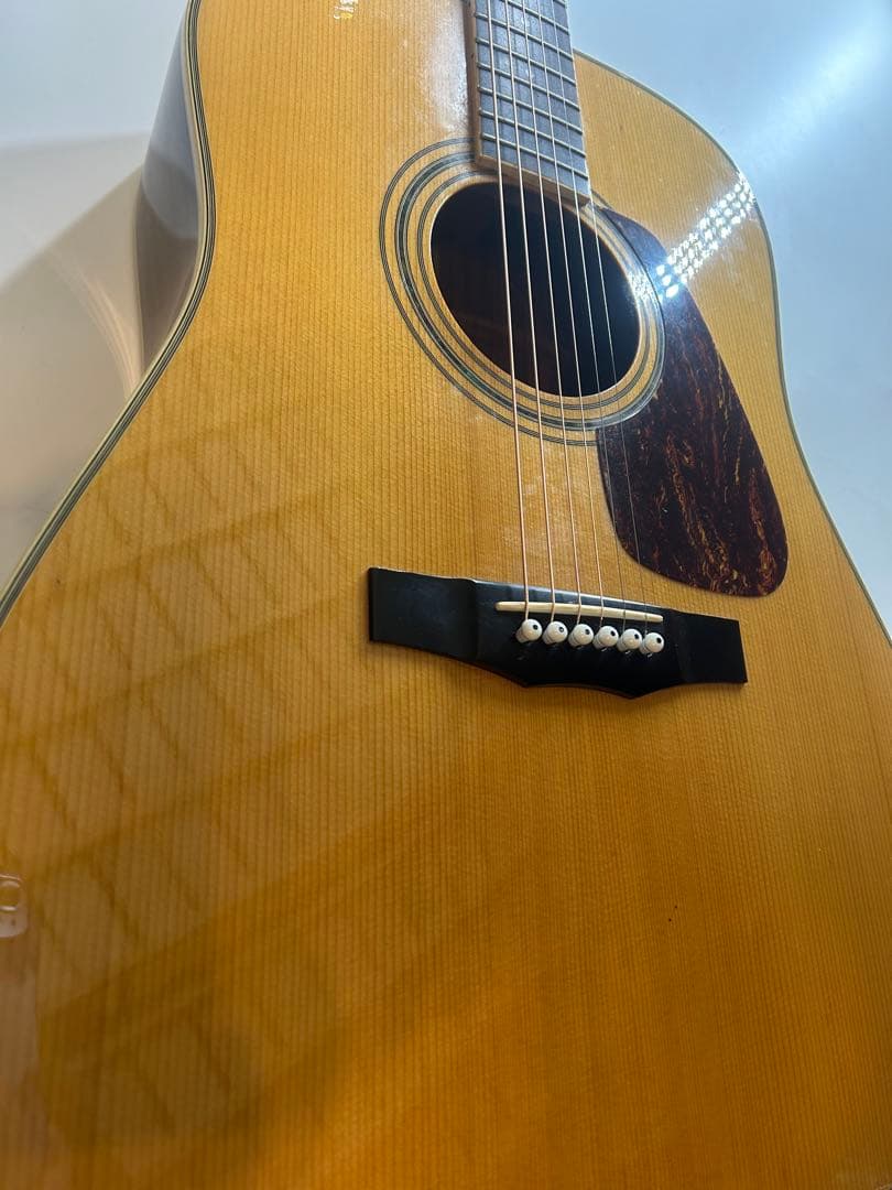 Morris m-501 アコースティックギター