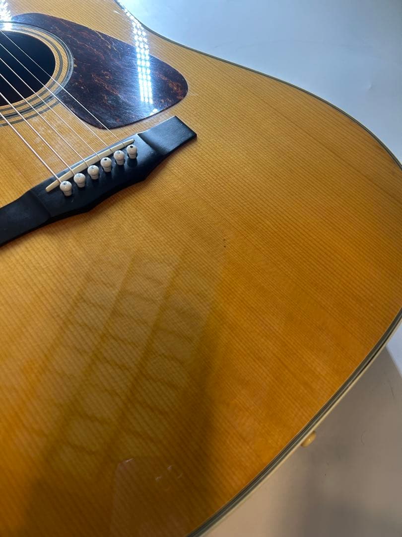 Morris m-501 アコースティックギター