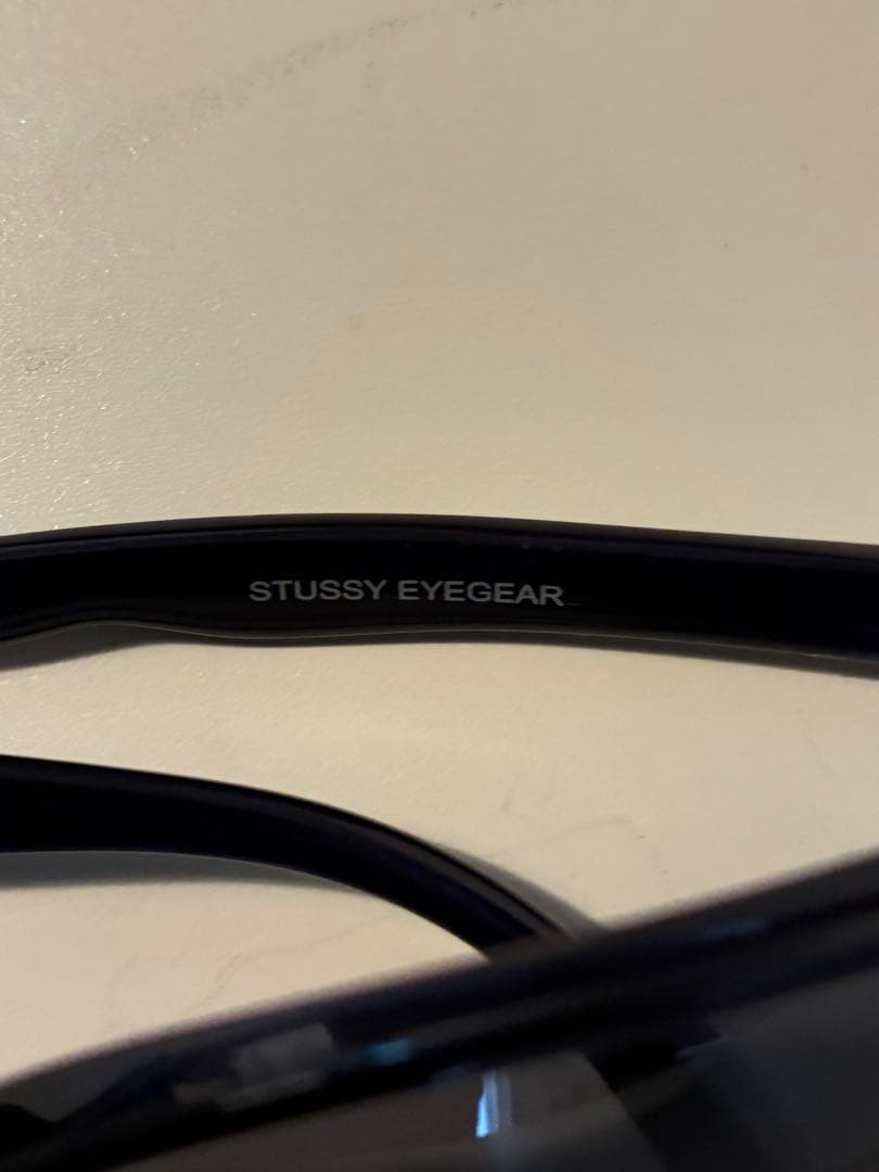 STUSSY EYEGEAR RICHTER サングラス 純正ソフトケース付き