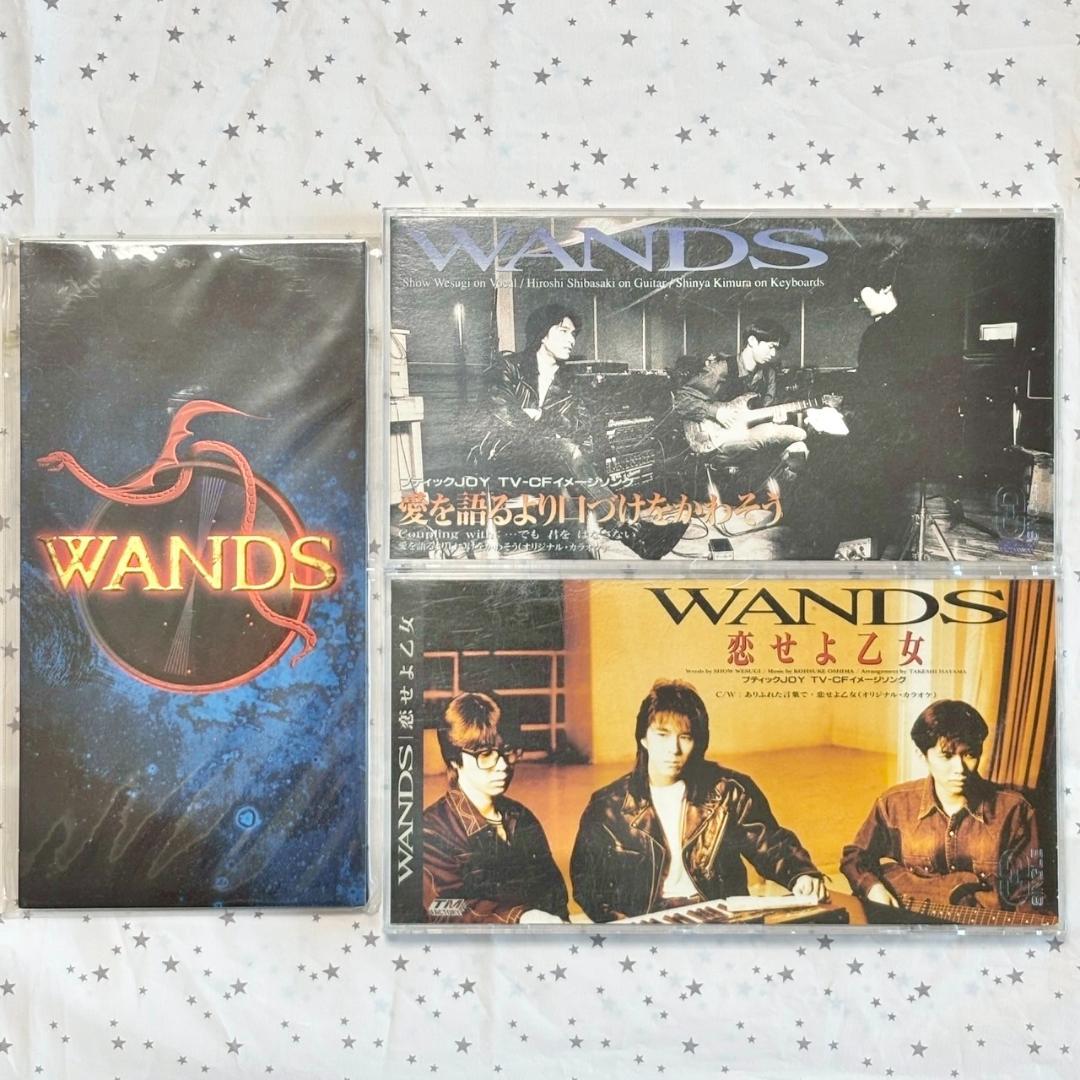 【レア✨】名盤CD WANDS　（ワンズ）まとめ /16点
