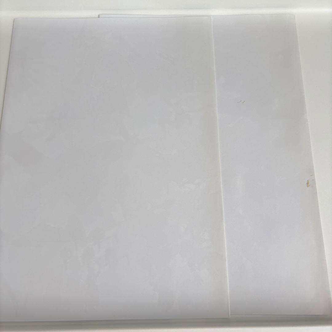 THE EYES OF BAYONETTA ベヨネッタ設定資料集