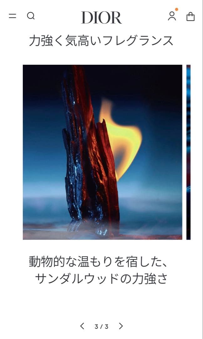 正規品 Dior SAUVAGE PARUM 30ml