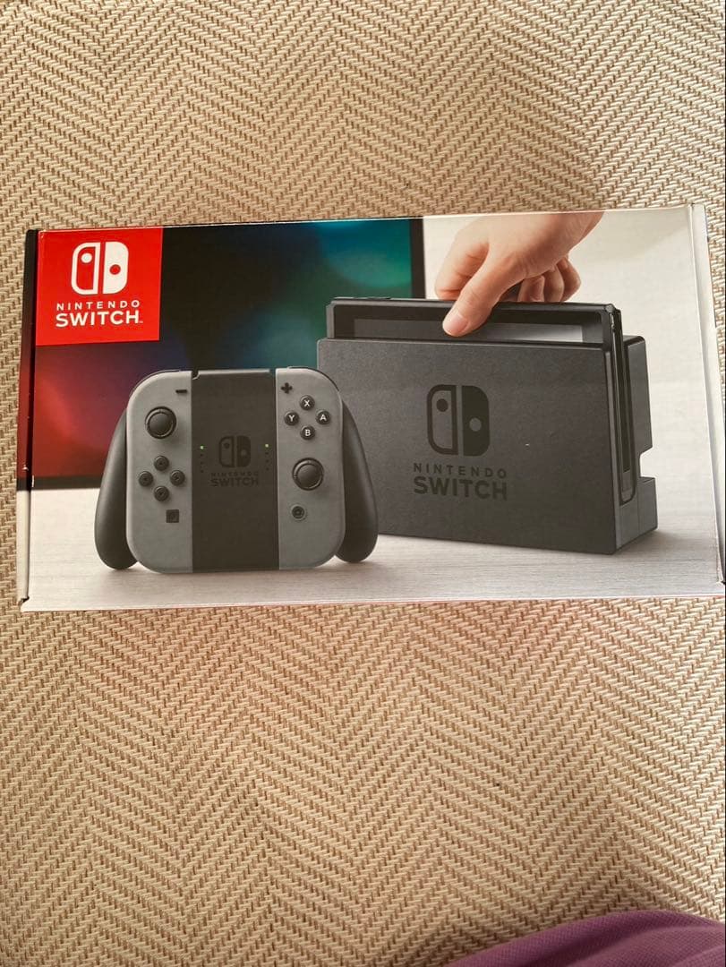 Nintendo Switch グレー 本体と付属品