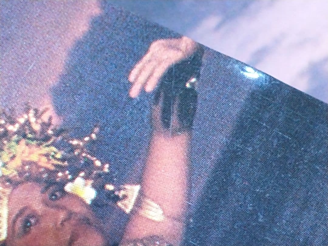 山本太郎 悪い大人に騙されて