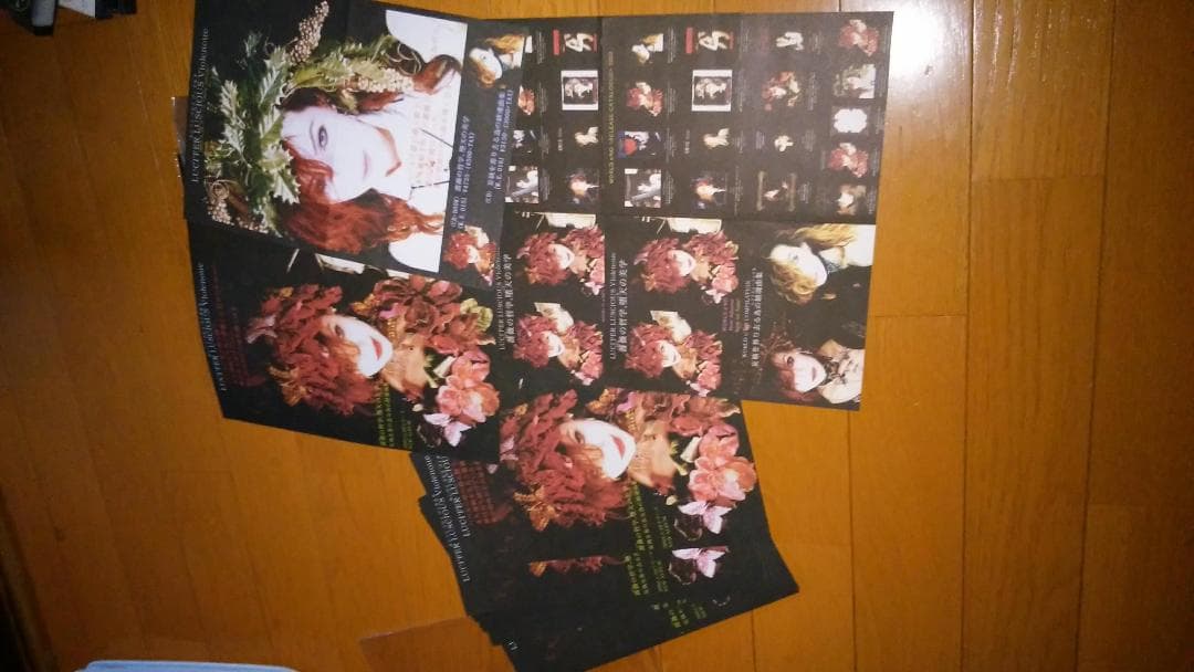 【入手不可】ルシファ・ラセス・ヴィオルヌ ブック パンフ 小説 コレクターズ