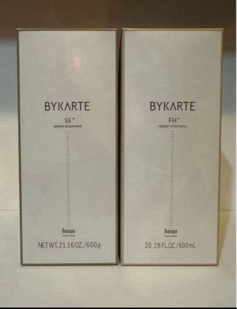 バイカルテFH SS 600 セット