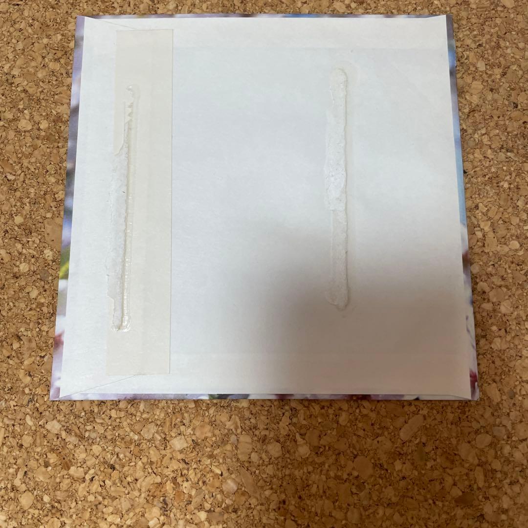 ヤングサンデー創刊20周年記念DVD