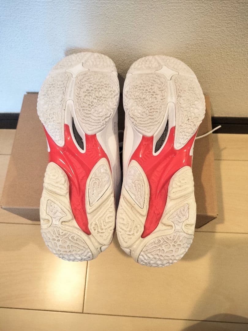 Mizuno ウェーブライトニング Z8 バレーボールシューズ 25cm