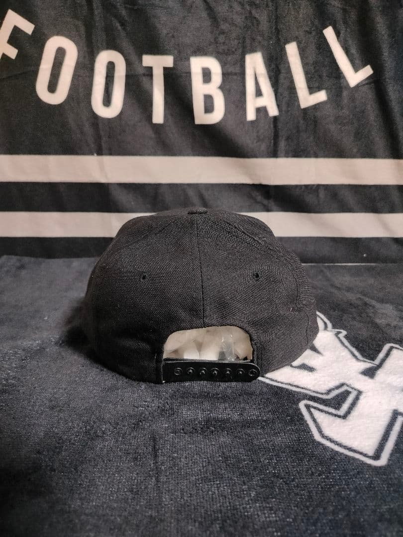 アイスキューブハット コロラド・バッファローズ 大学フットボールチーム