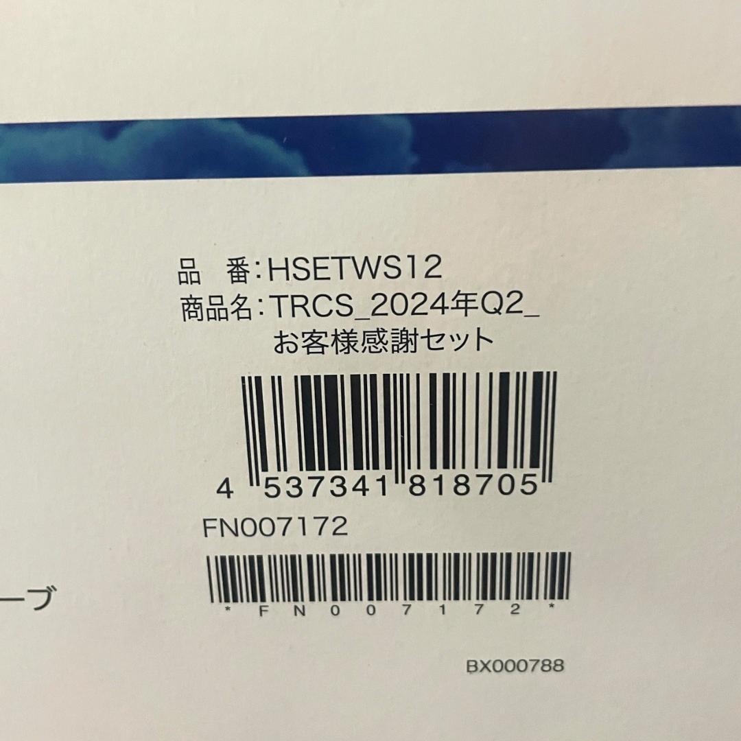 【新品】トゥルースリーパー 低反発マットレス と 低反発枕 のセット