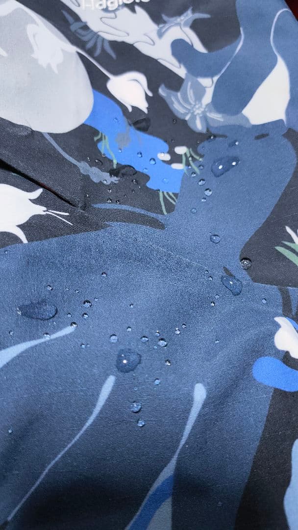 y*e様 ✨限定✨ ホグロフス HAGLOFS ネンガル3Lジャケット 登山 高