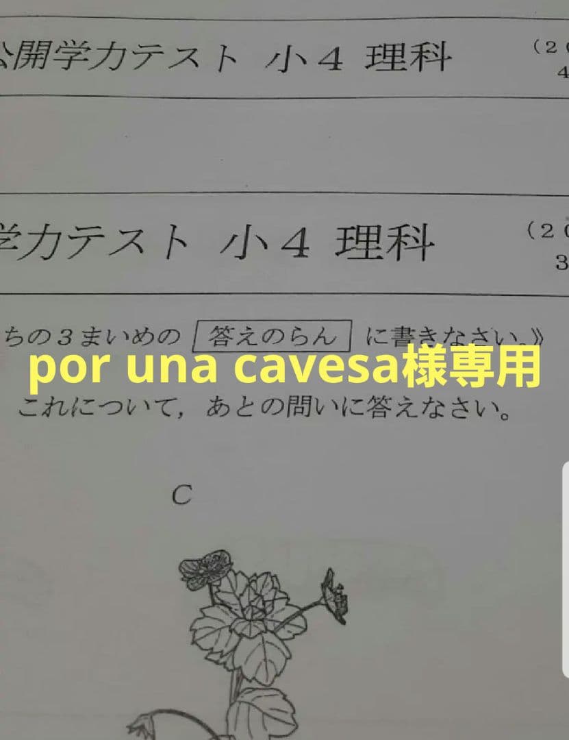 語学・辞書・学習参考書 por una cavesa