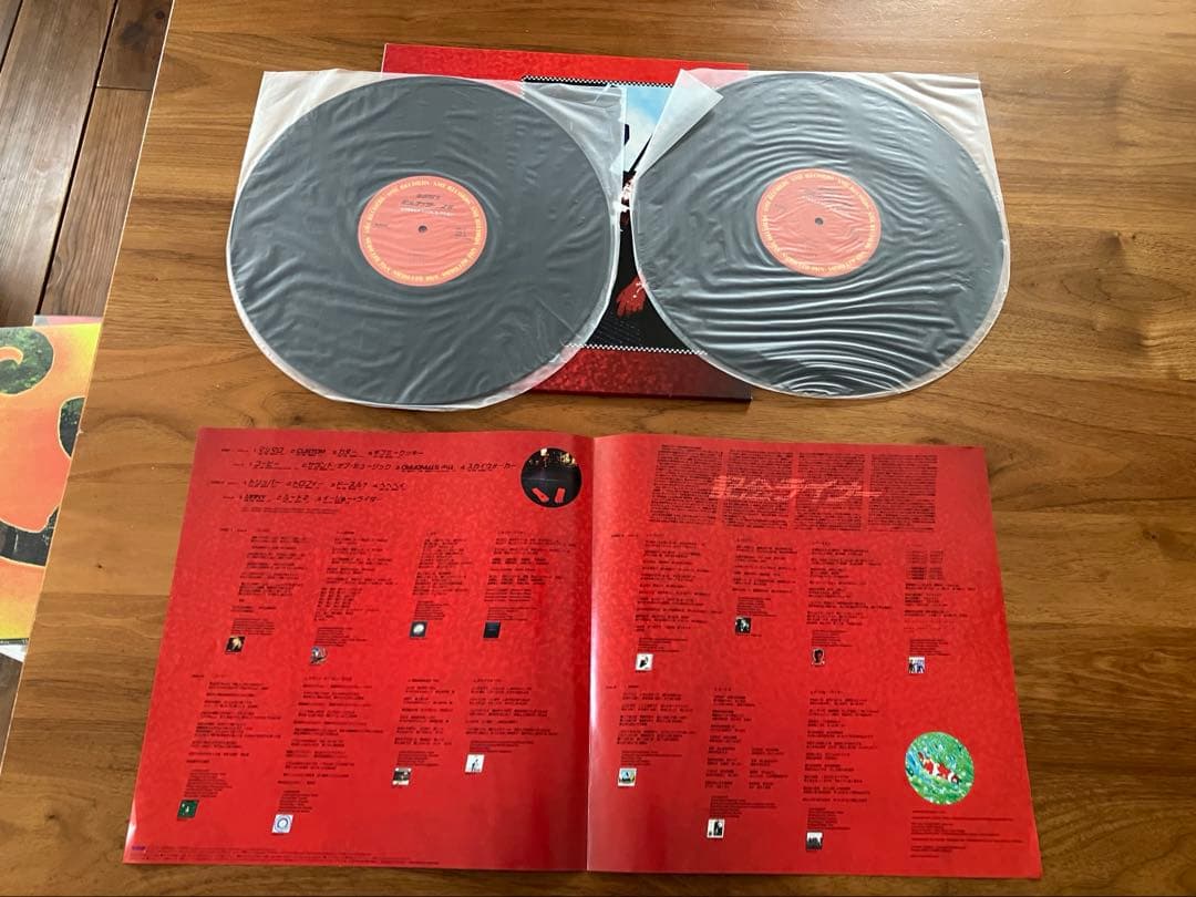 奥田民生 記念ライダー 2号 アナログ レコードLP