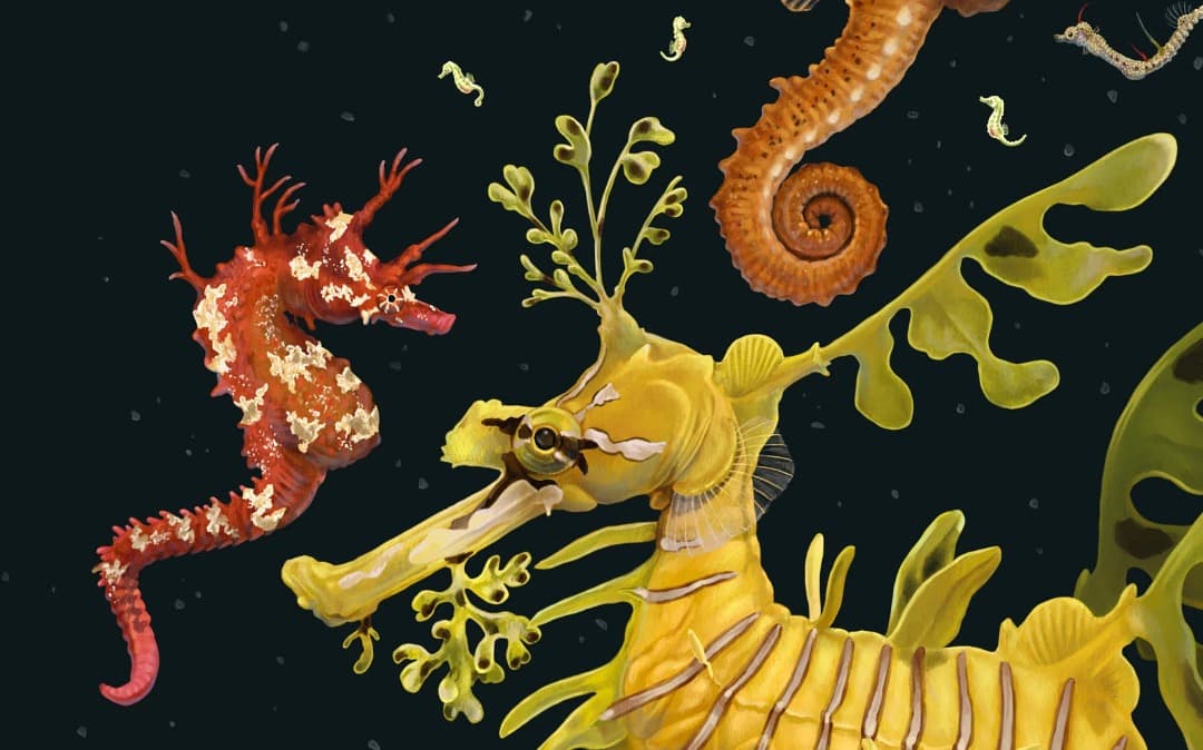 K*様 Zoe Keller 版画