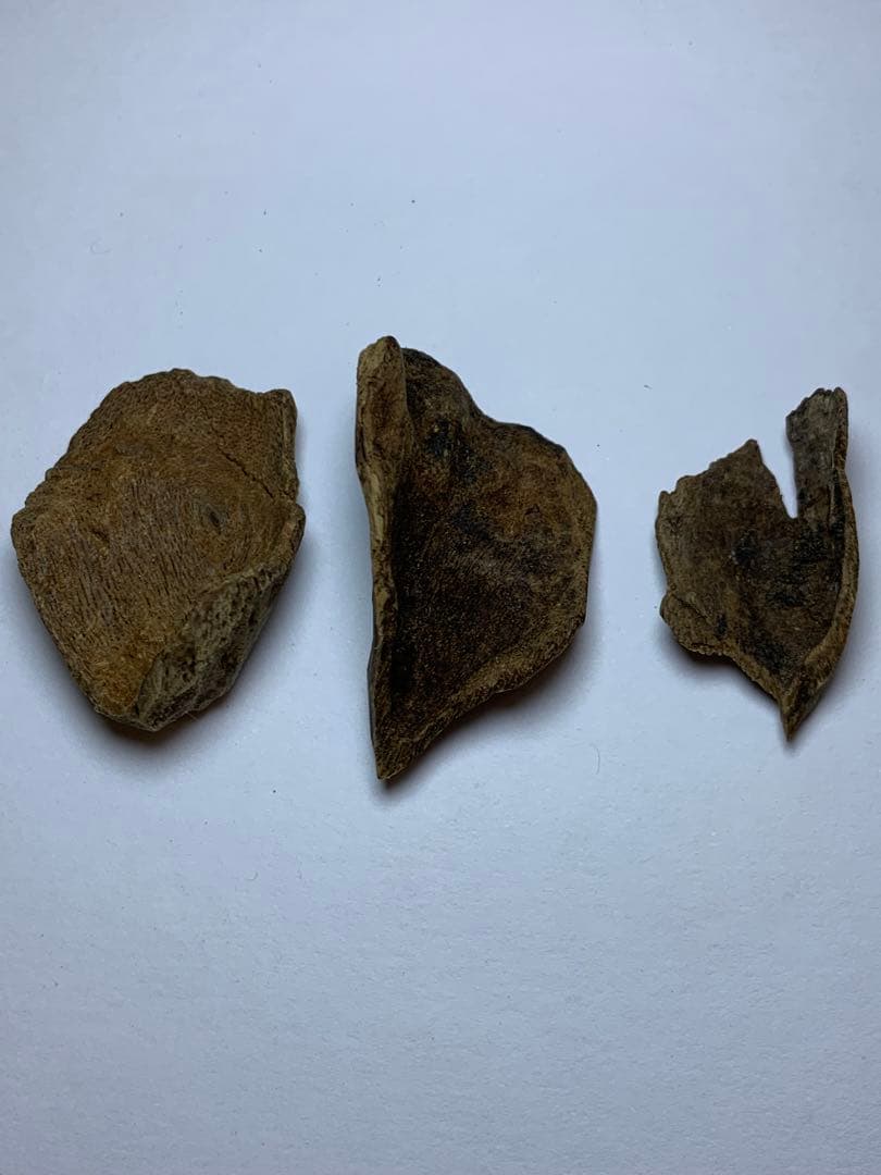 香木  沈水甘沈梗 5.097gベトナム産沈香 聞香用 お香  沈香 伽羅 香道