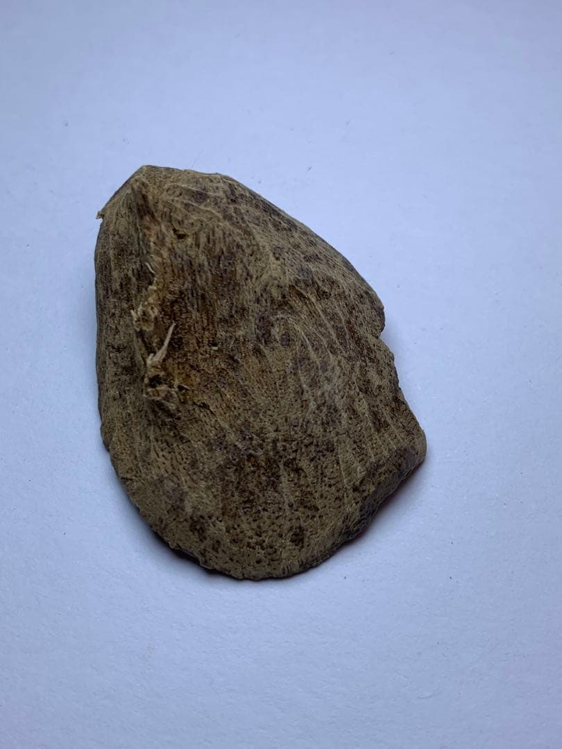 香木  沈水甘沈梗 5.097gベトナム産沈香 聞香用 お香  沈香 伽羅 香道