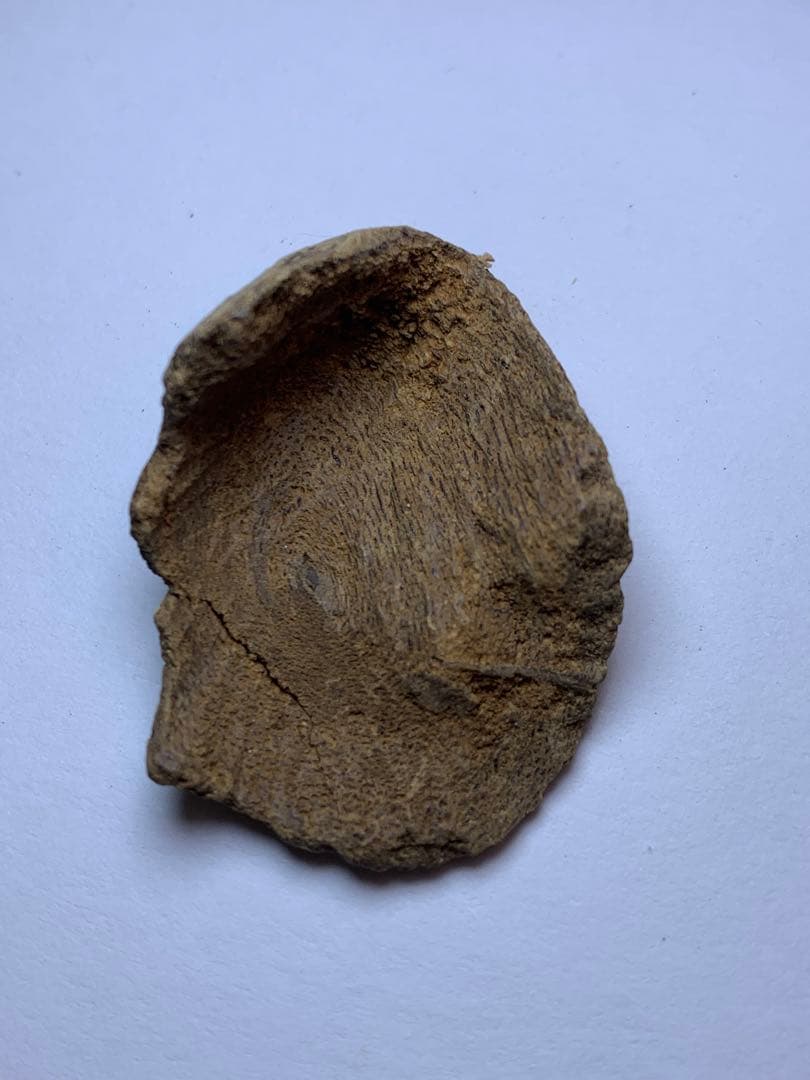 香木  沈水甘沈梗 5.097gベトナム産沈香 聞香用 お香  沈香 伽羅 香道