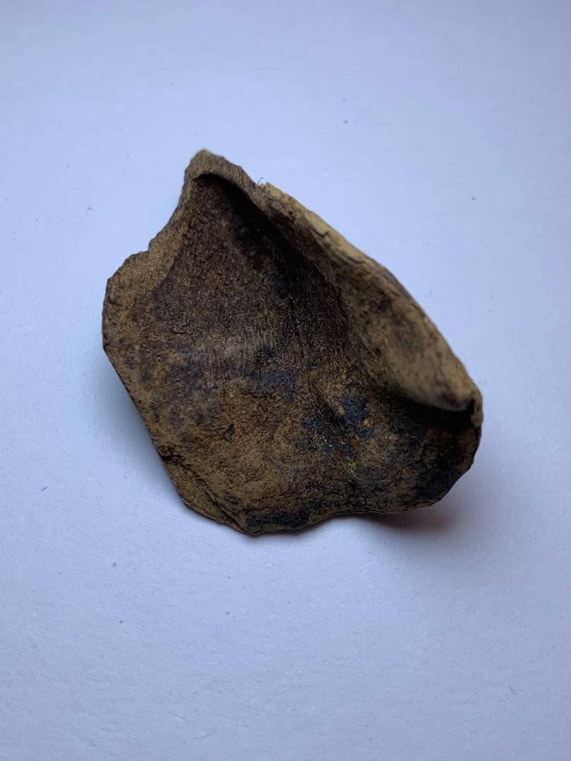 香木  沈水甘沈梗 5.097gベトナム産沈香 聞香用 お香  沈香 伽羅 香道