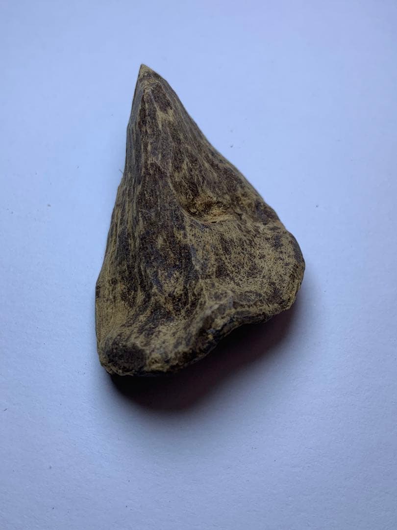 香木  沈水甘沈梗 5.097gベトナム産沈香 聞香用 お香  沈香 伽羅 香道