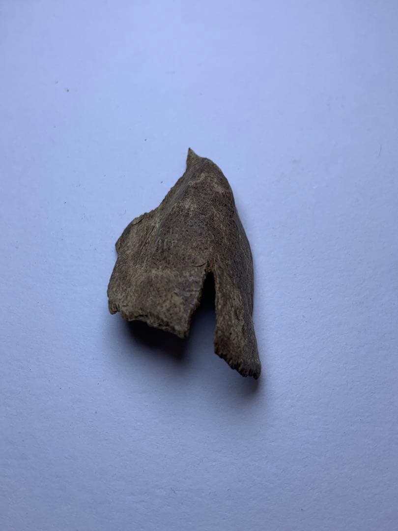 香木  沈水甘沈梗 5.097gベトナム産沈香 聞香用 お香  沈香 伽羅 香道