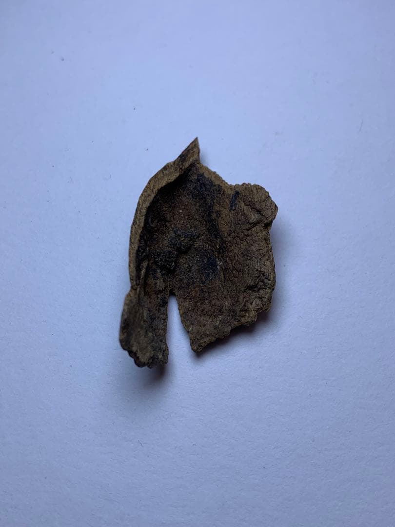 香木  沈水甘沈梗 5.097gベトナム産沈香 聞香用 お香  沈香 伽羅 香道