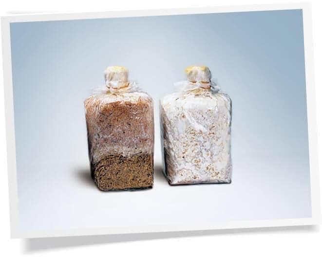 お得⭐️⭐️新商品　オッペン　アガリクス　101α