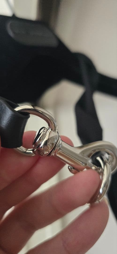 GUCCI 25aw シルクスカーフ チョーカー サバト期