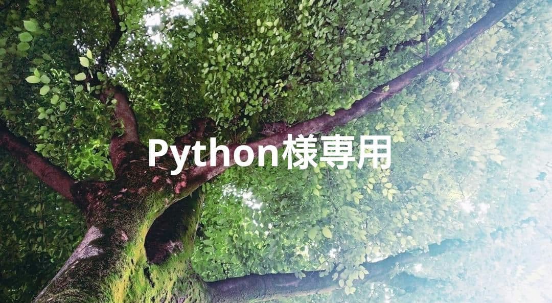 Python 特典付✨電磁波防止✨本物CMCペンダント USA版 強力
