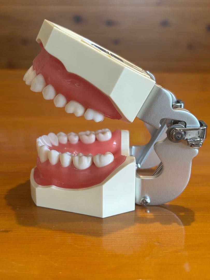 NISSIN ニッシン額模型 歯科用器具