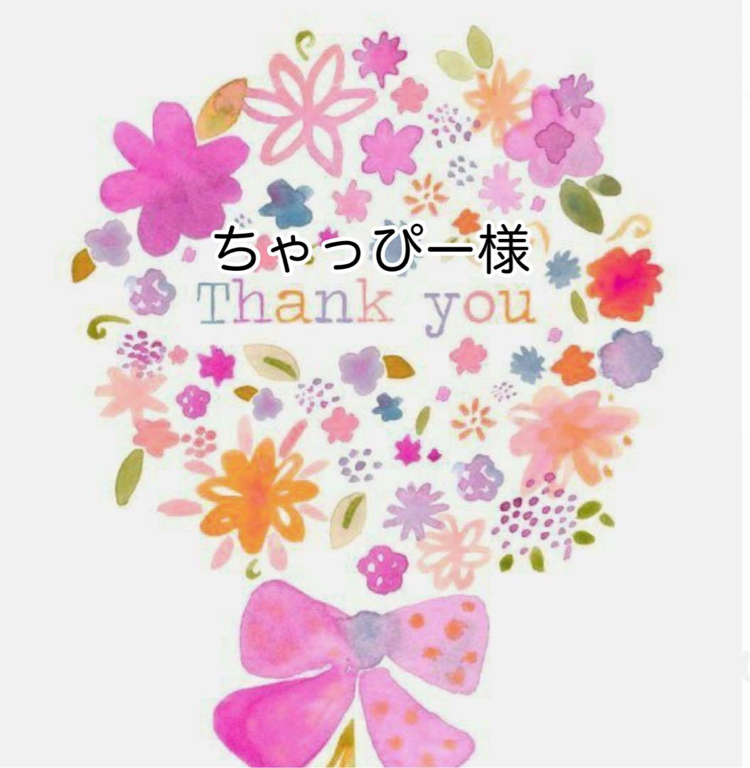 ちゃっぴー様おまとめ