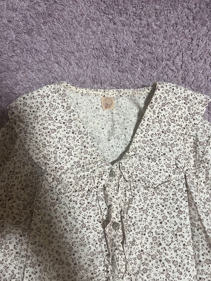 ストリートオルガン・セットアップ