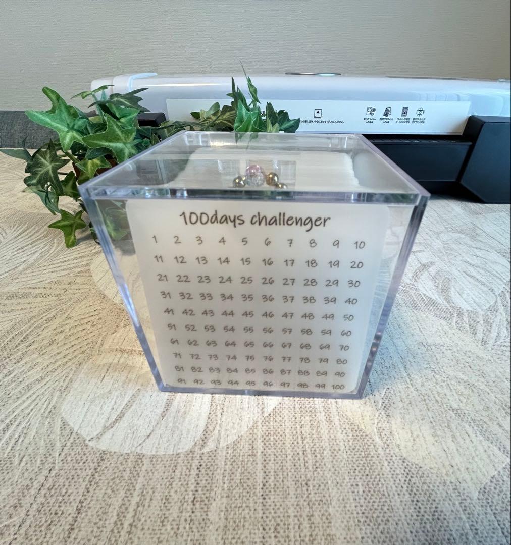即購入OK★ボックス付き★100days savings challenge