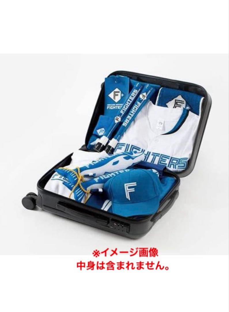 【新品・未使用】日本ハムファイターズ キャリーケース FAV限定商品　機内持込可