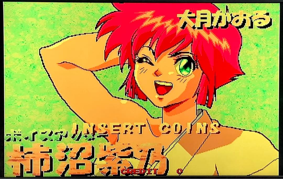 麻雀ハイパーリアクション 基板 ROMボード アーケードゲーム ゲームセンター