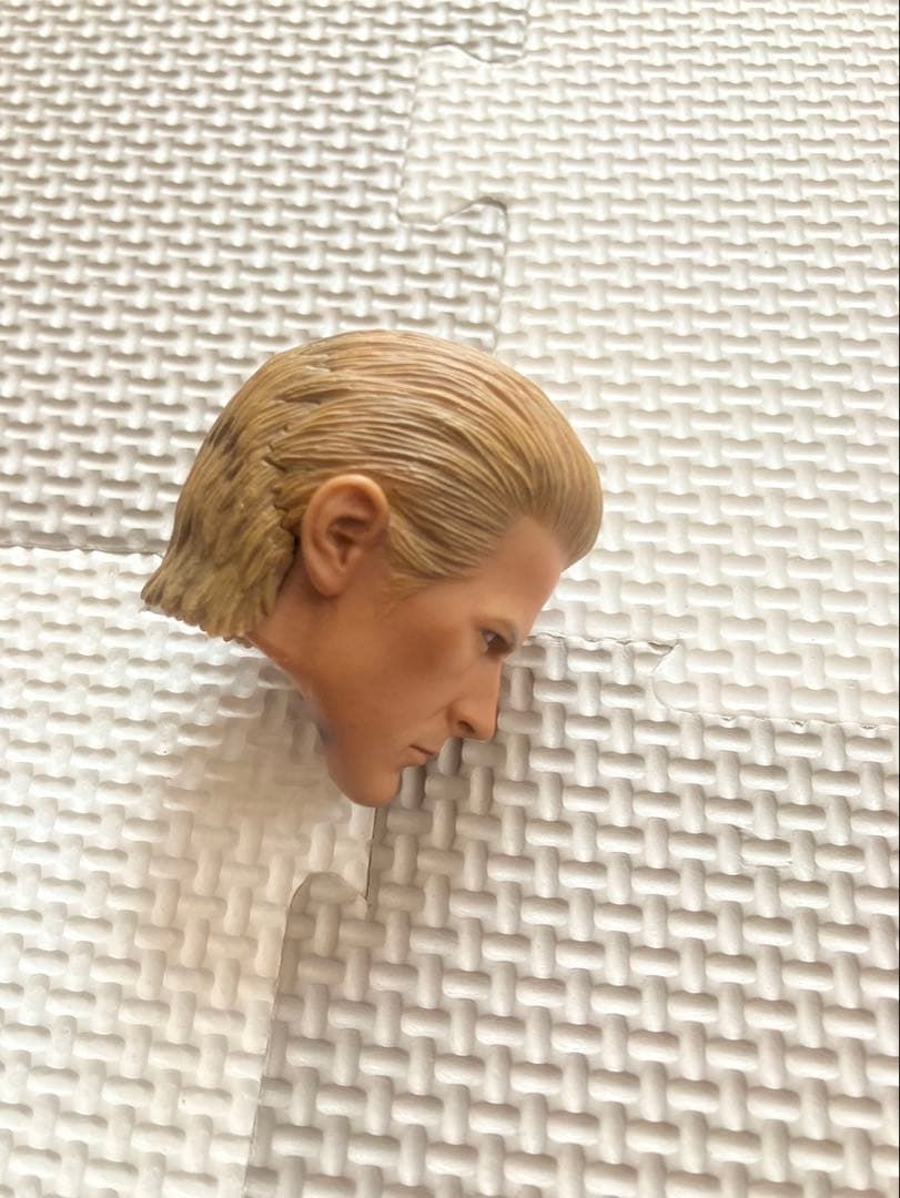 1/6 ホットトイズ　ウェスカー　ヘッド　中古