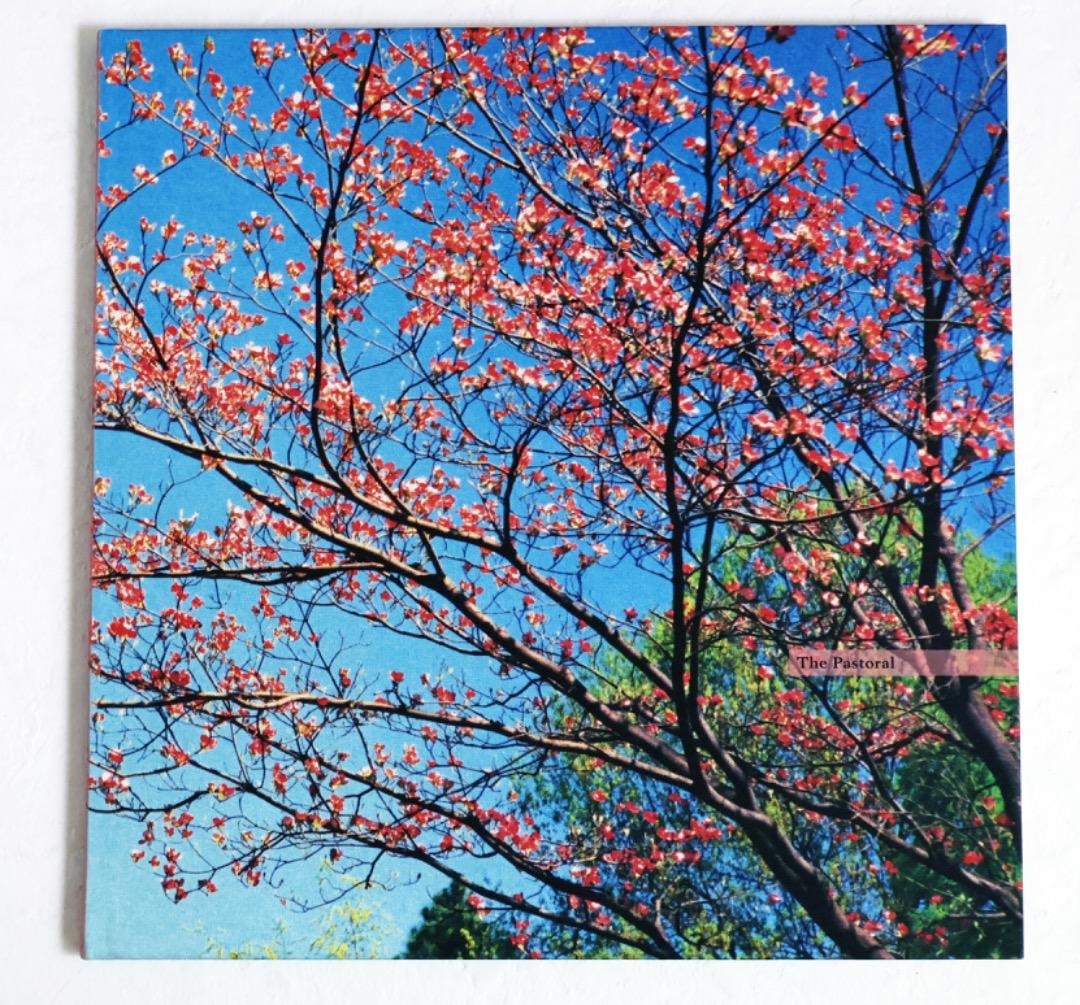 William Eggleston（The Democratic Forest）