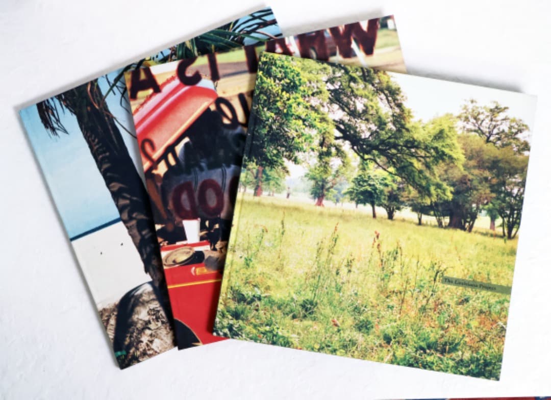 William Eggleston（The Democratic Forest）