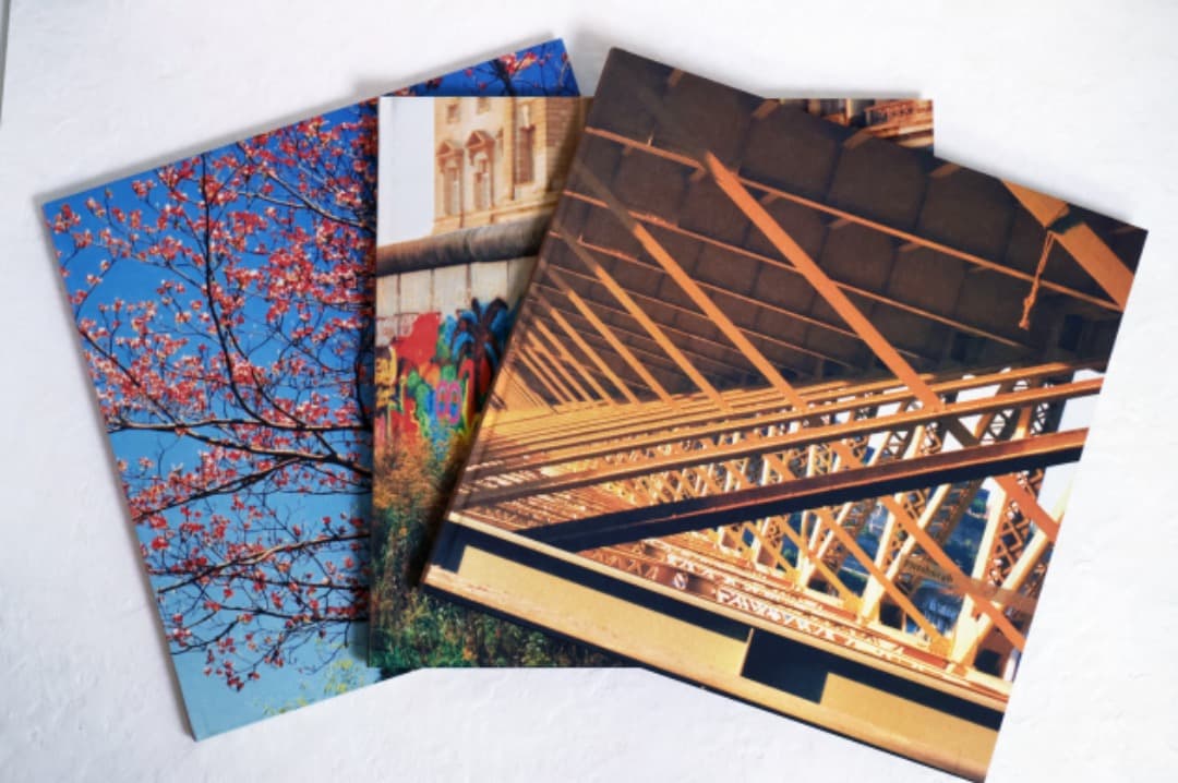 William Eggleston（The Democratic Forest）