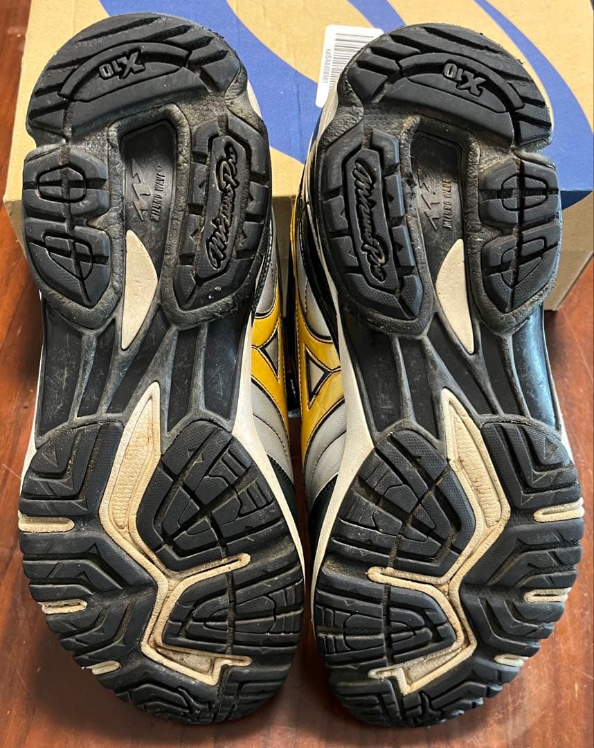 トレーニングシューズ ミズノ27.5cm