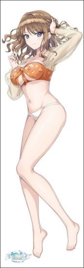 ドルフィンウェーブ　抱き枕カバー　住乃絵紫苑