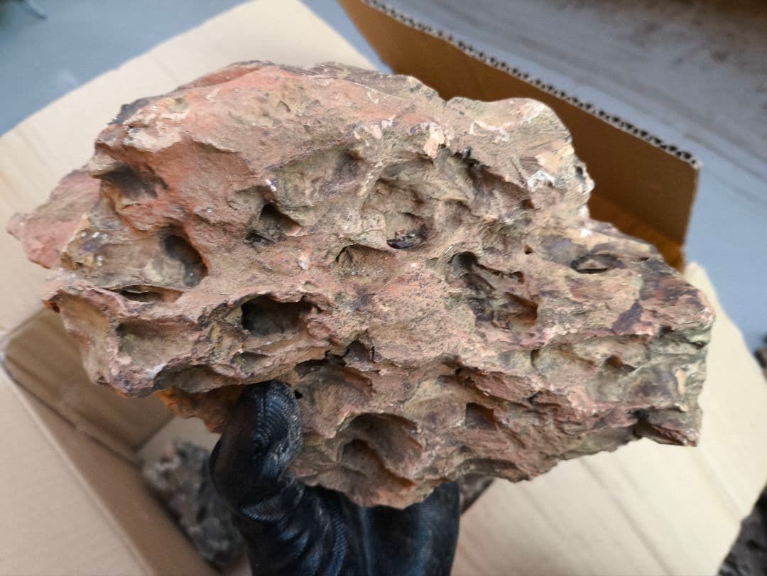 陽火石 気孔石 17kg