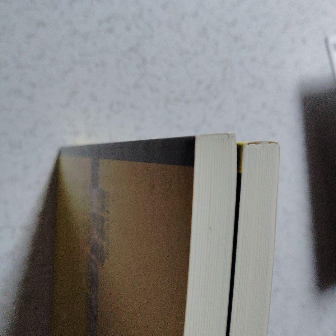 2014年度用 鉄緑会東大化学問題集 高校生　東京大学　難関大　理論　無機　有機