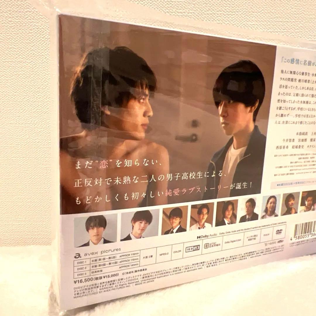 未成年 DVD 未熟な僕たちは不器用に進行中 本島純政×上村謙信