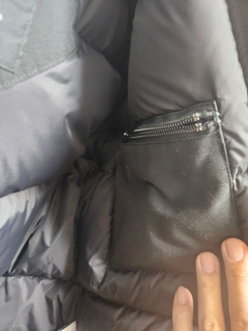 カナダグース　ジャスパー