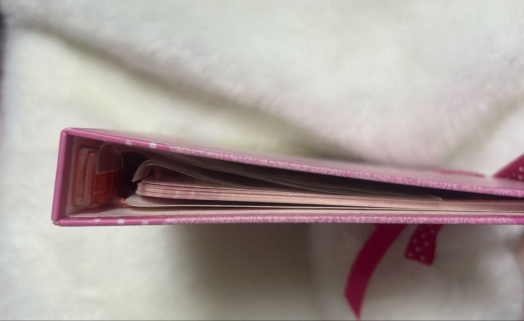 平成 プロフィール帳 レア モコピコうーちゃん