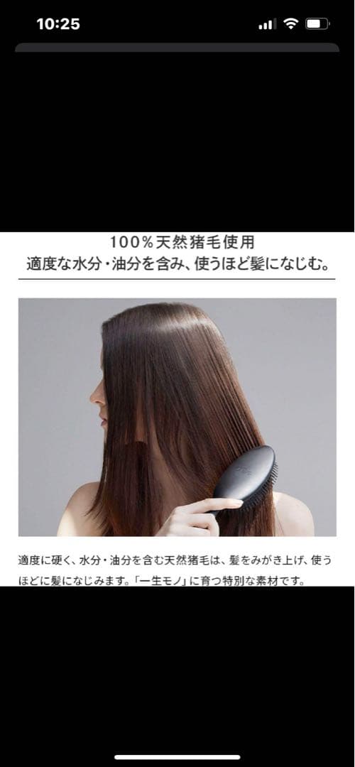 中古美品　Refa リファブリッスル 天然猪毛ブラシ 黒