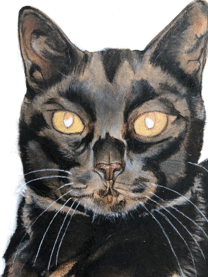 「ムサシ」猫イラスト（原画）