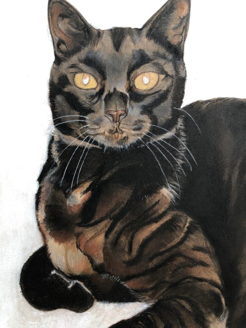 「ムサシ」猫イラスト（原画）