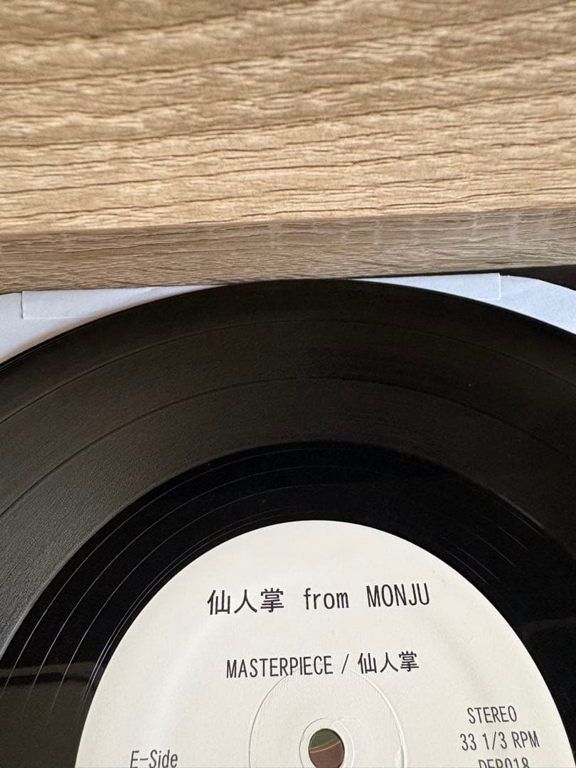 仙人掌 MASTER PIECE 12\" DOGEAR RECORDS 2013