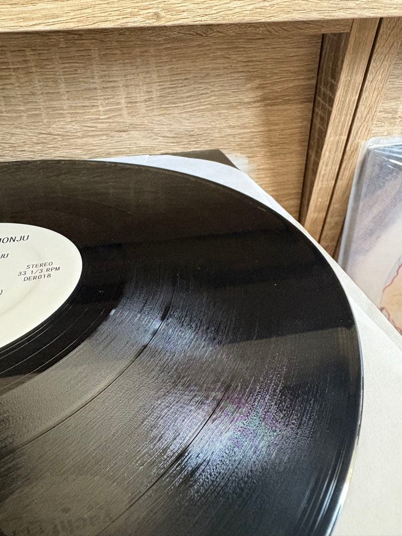 仙人掌 MASTER PIECE 12\" DOGEAR RECORDS 2013